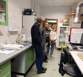 Click to zoom the picture.